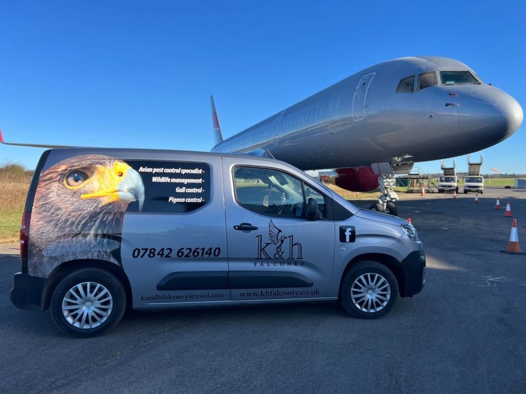 K & H Falconry